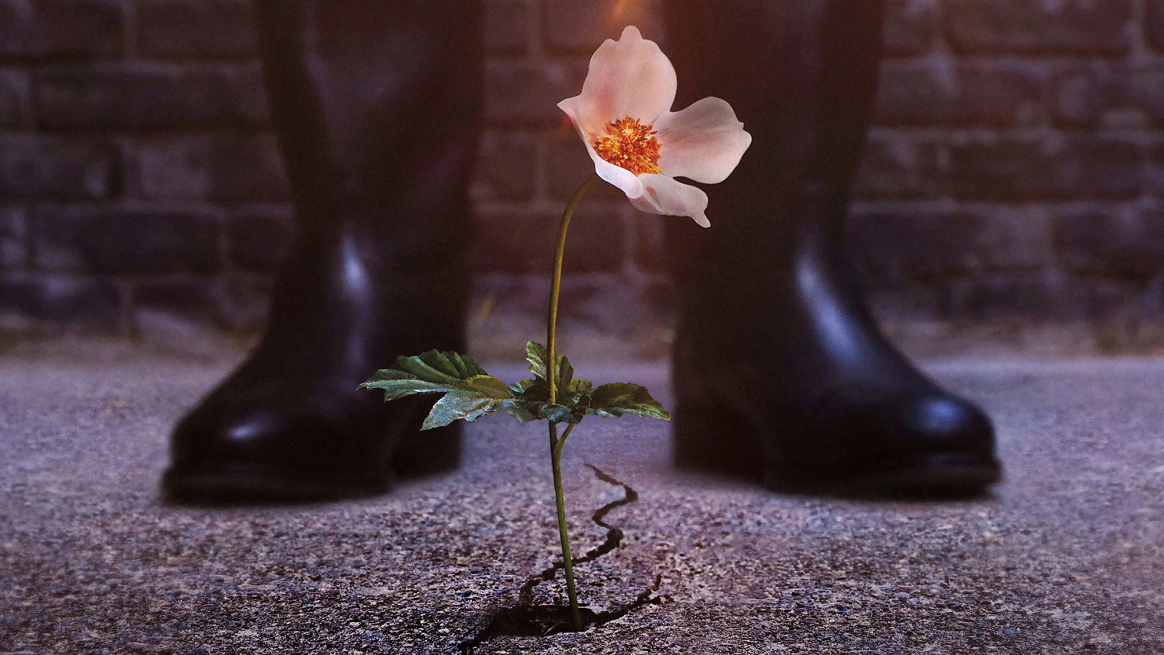 Xem Phim Thế Giới Của Phát Xít Vietsub HD Online